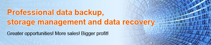 Professional data backup, storage management and data recovery