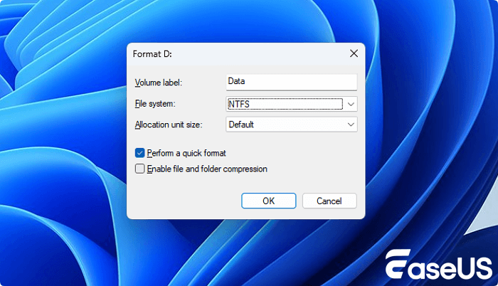 format RAW disk to NTFS