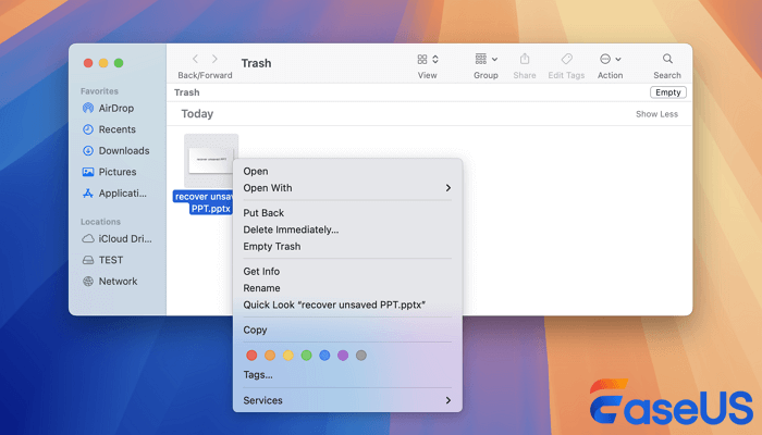 restore usb files from trash on mac