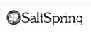 Salt Spring Software Inc.