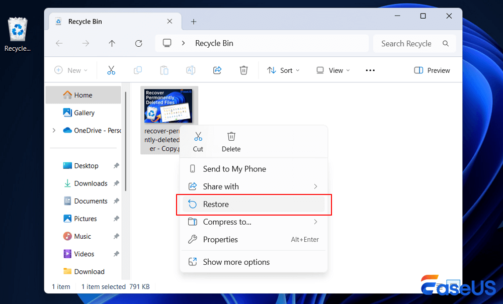 restore from Recycle bin