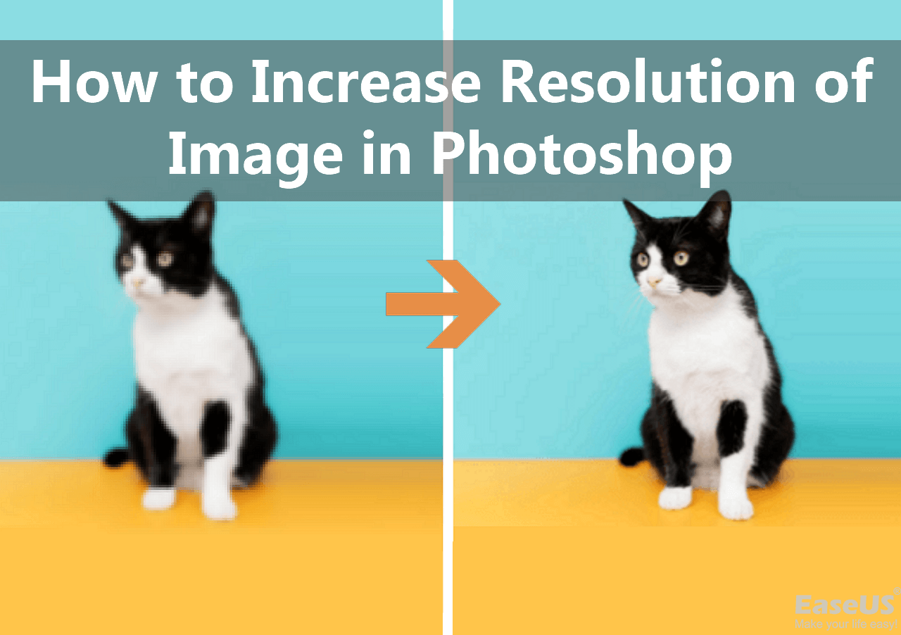 how-to-increase-resolution-of-image-in-photoshop-2024-easeus