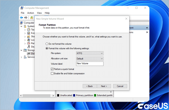 Disk Not Initialized - Partition the disk