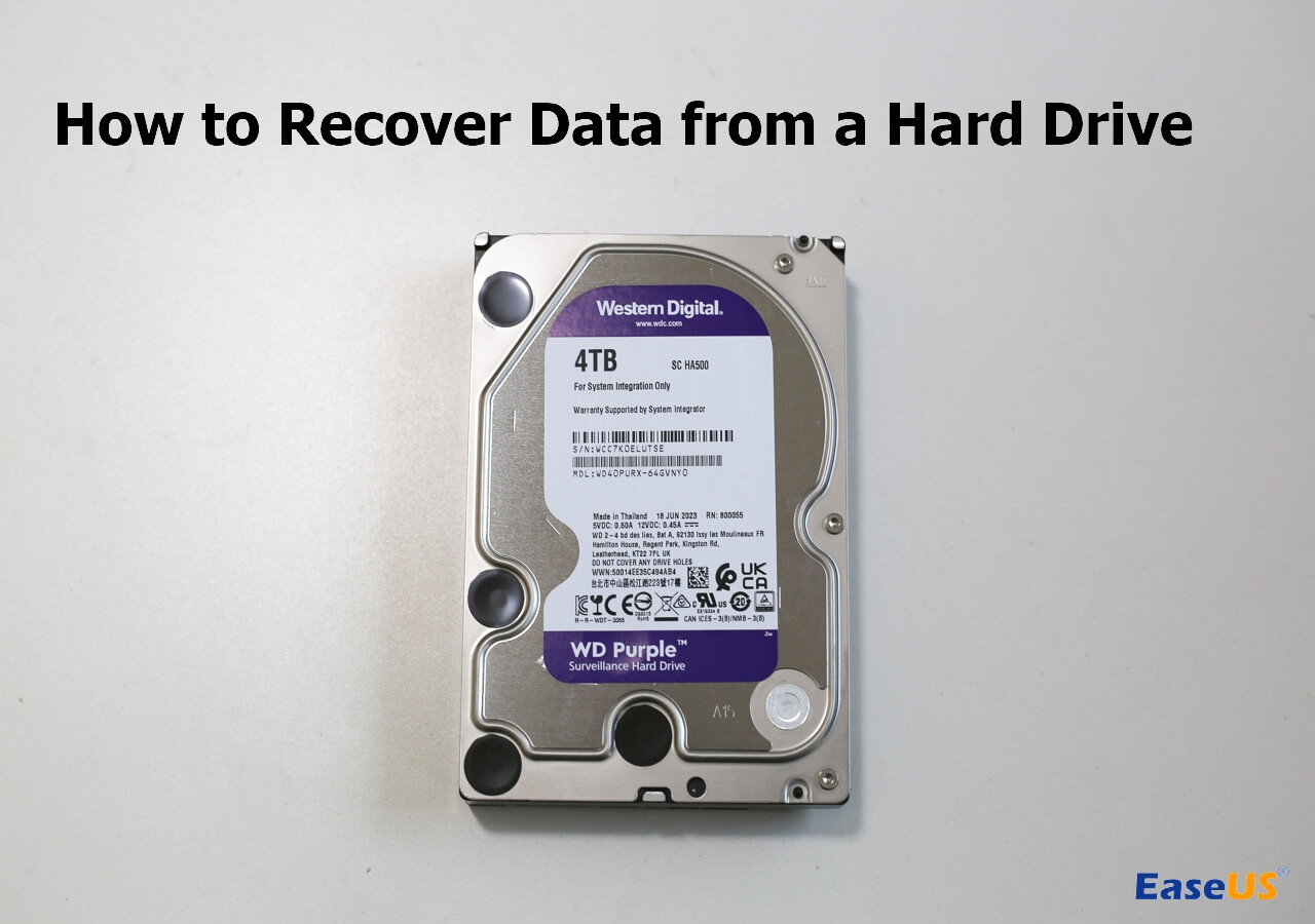 How to Recover Data from a Hard Drive [Step-by-Step Tutorial]