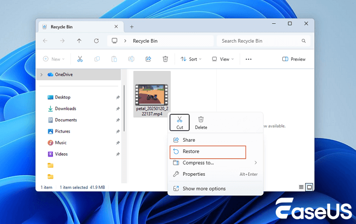 Recycle Bin Recovery