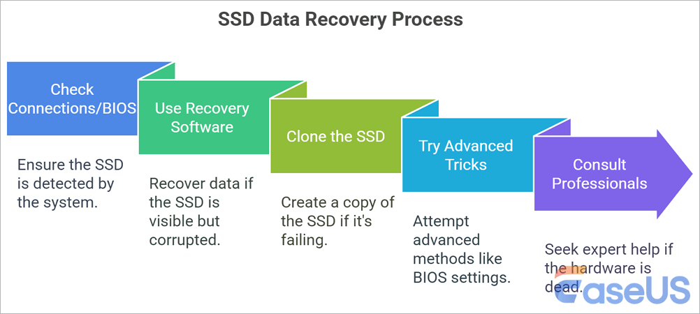Recover Data From an SSD That Can't Be Detected