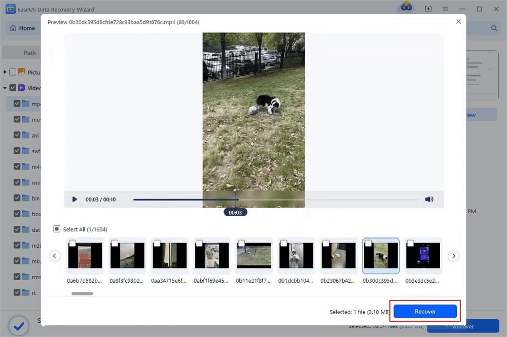 Restore lost or deleted videos