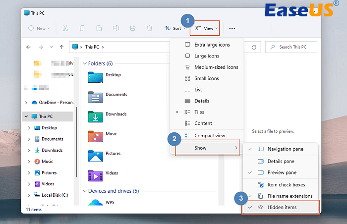show hidden items in Windows 11