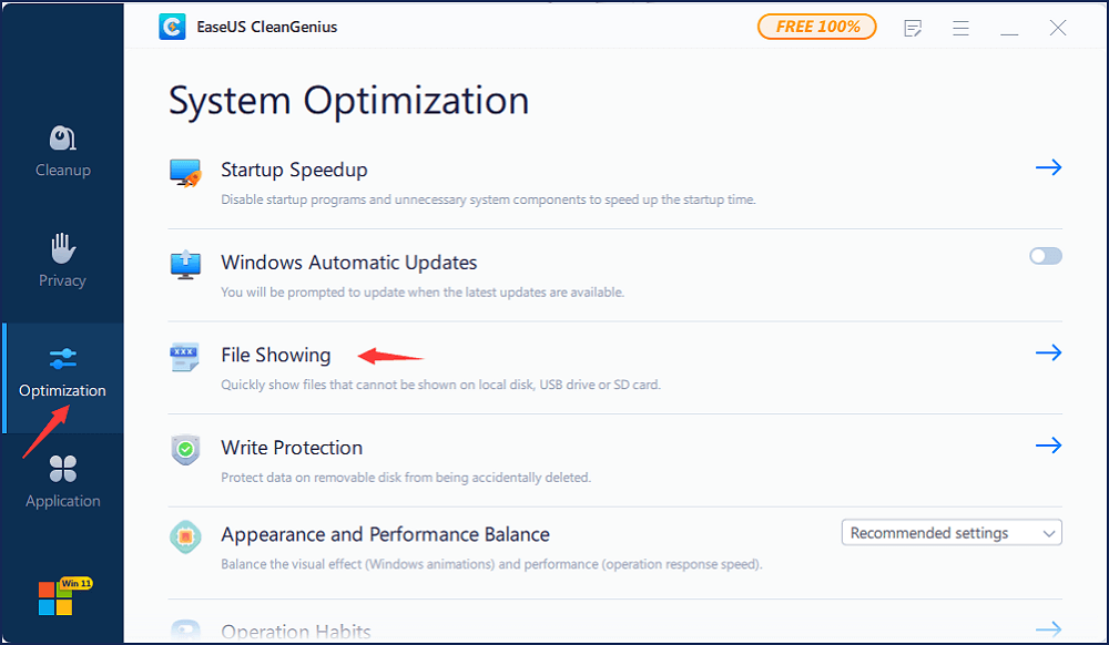 EaseUS CleanGenius for Windows interface