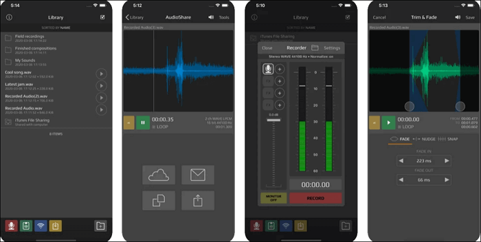 Audio-Freigaberecorder