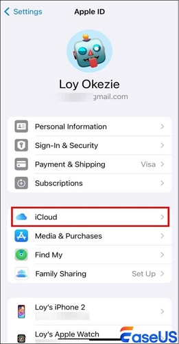 Opt for iCloud