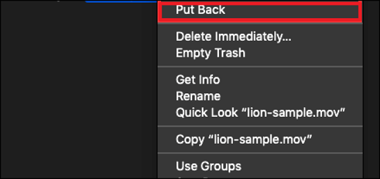 Restore Deleted Files from the Trash on Mac