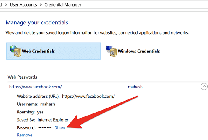 credential manager view password windows 11