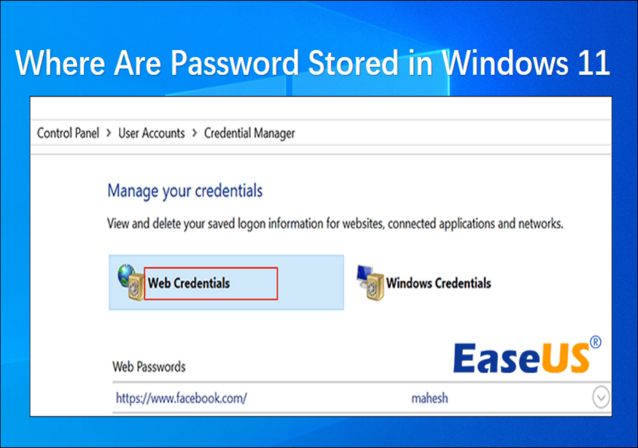 How To View Saved Password In Windows 11 Step By Step 4347