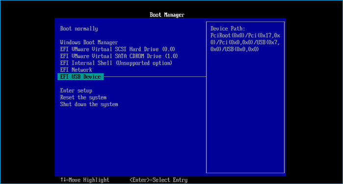 select USB as the boot drive