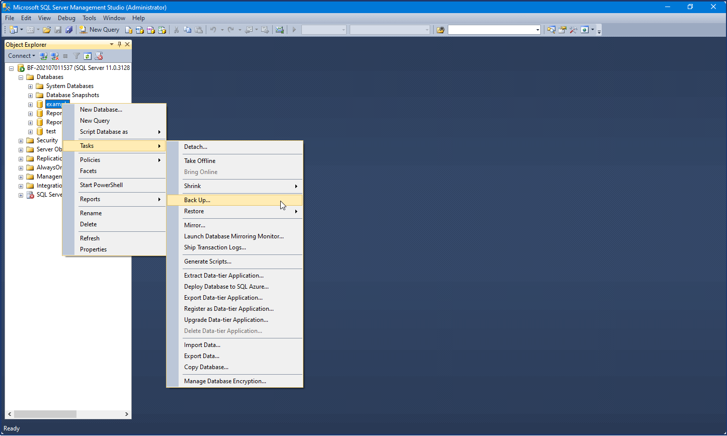use ssms to locate all your mssql server database and backup them