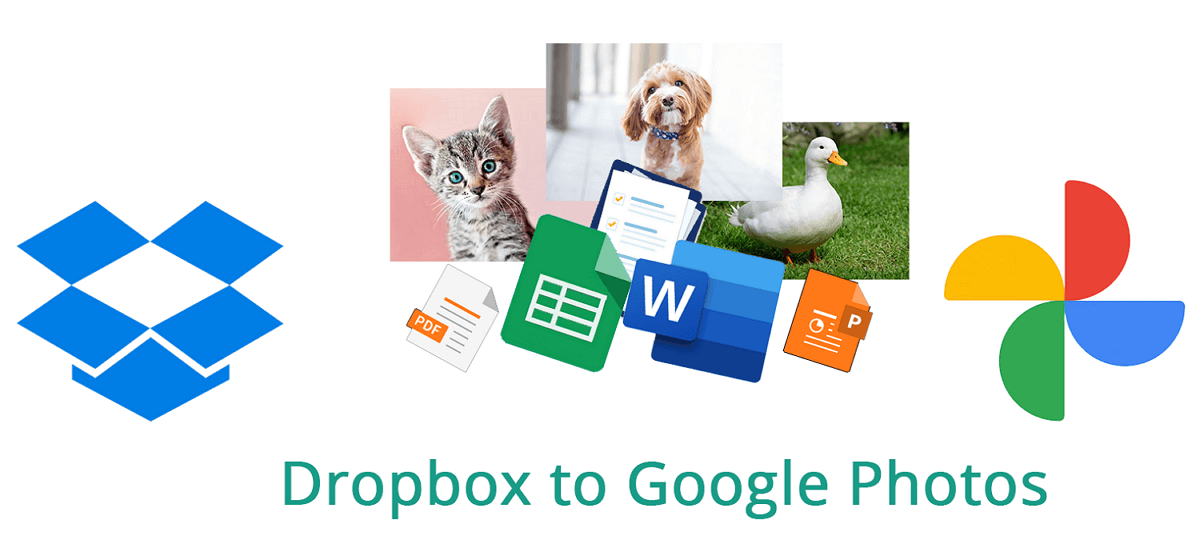 how-to-transfer-files-from-dropbox-to-google-photos-your-guide-is-here