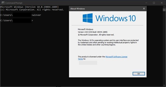 CMD winver result