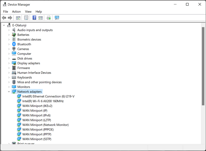 Expand Network adapters selection in Device Manager