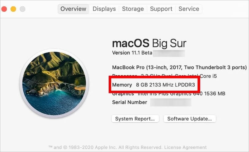 BUG: failed to download/update to new version (MacOS Catalina