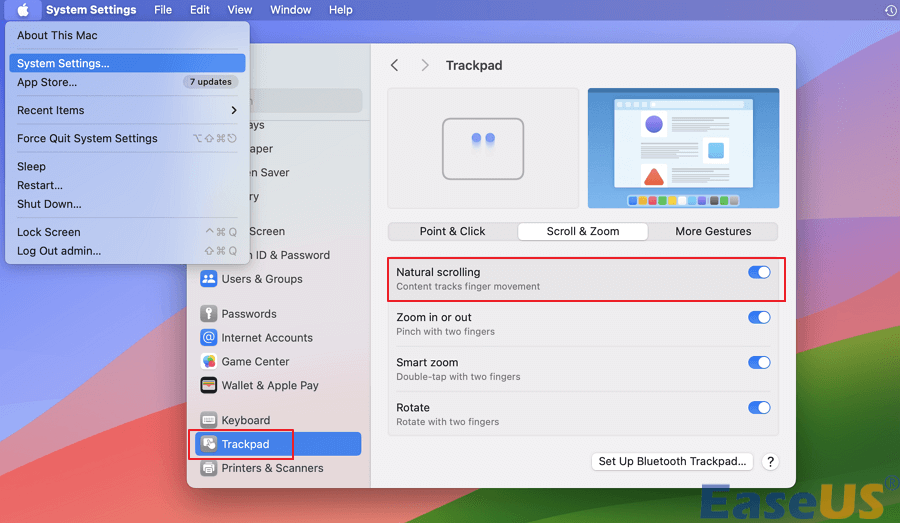 Trackpad > Scroll & Zoom