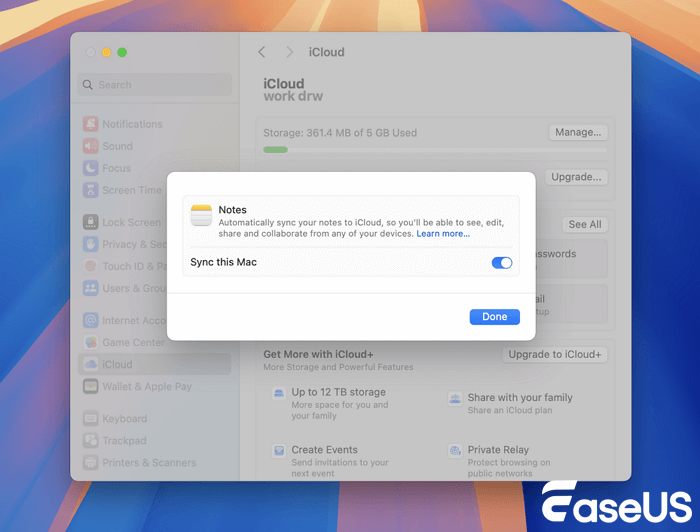 allow Notes sync this Mac